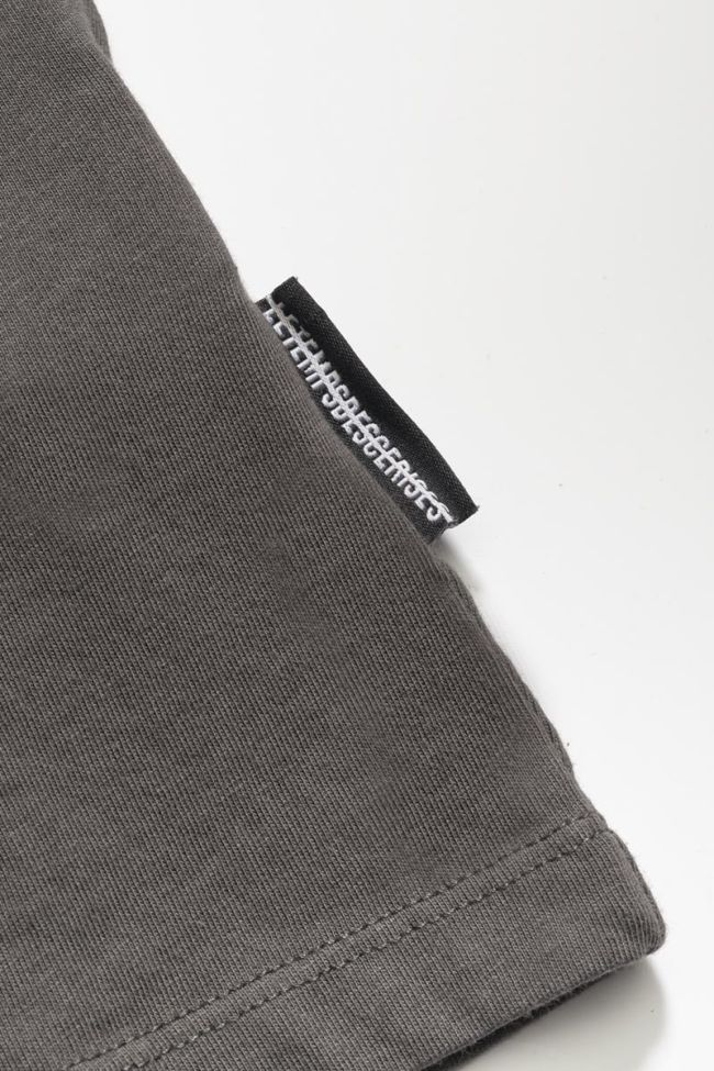 T-shirt Garrybo in grau