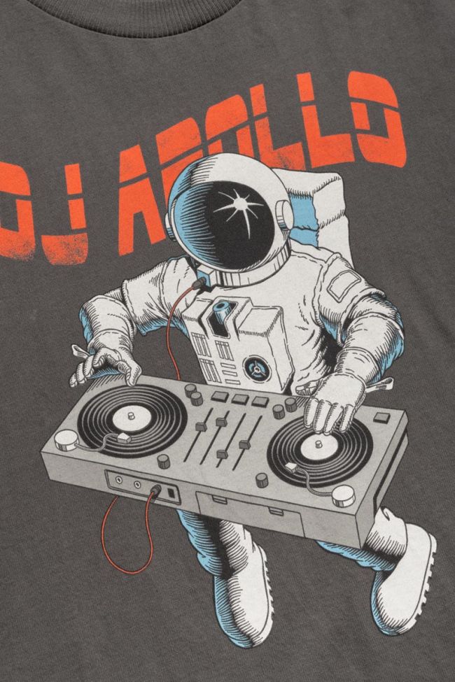 T-shirt Garrybo in grau