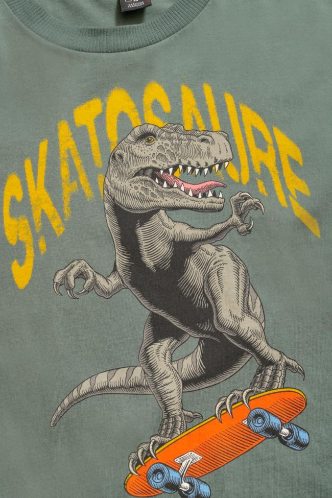 T-shirt Kariabo in grau