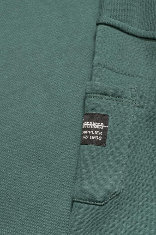 Sweatshirt Leonbo in grün