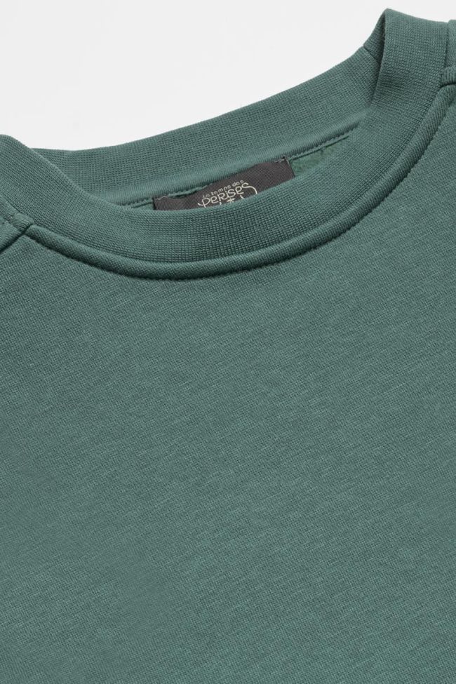 Sweatshirt Leonbo in grün