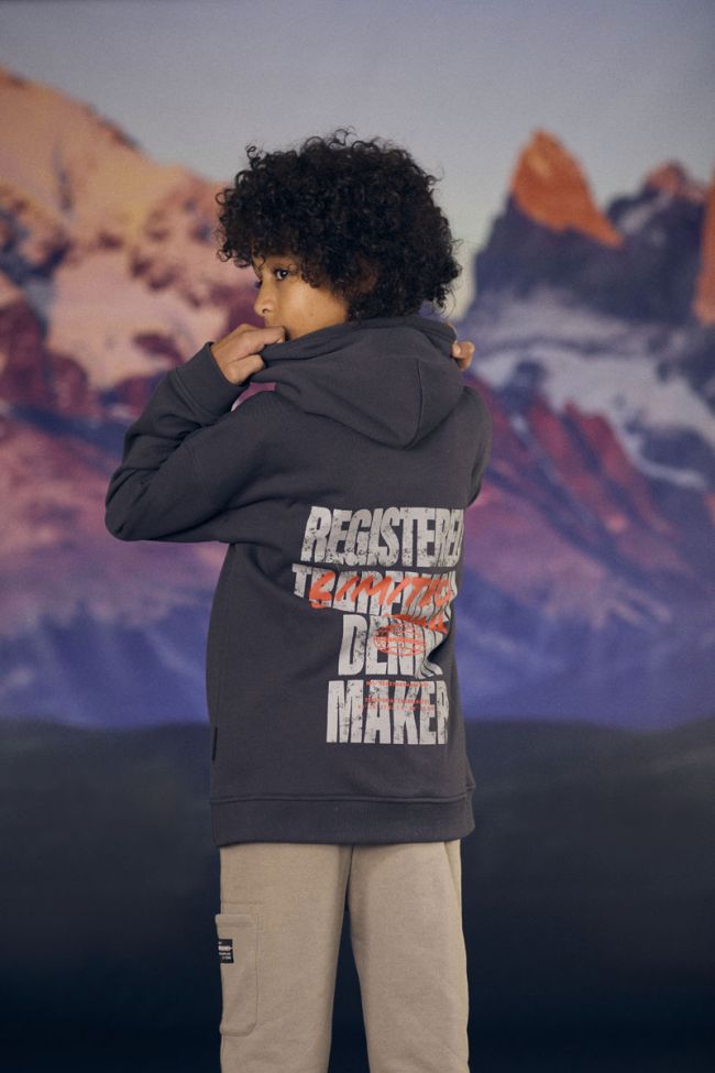 Kapuzen-sweatshirt Noebo in grau