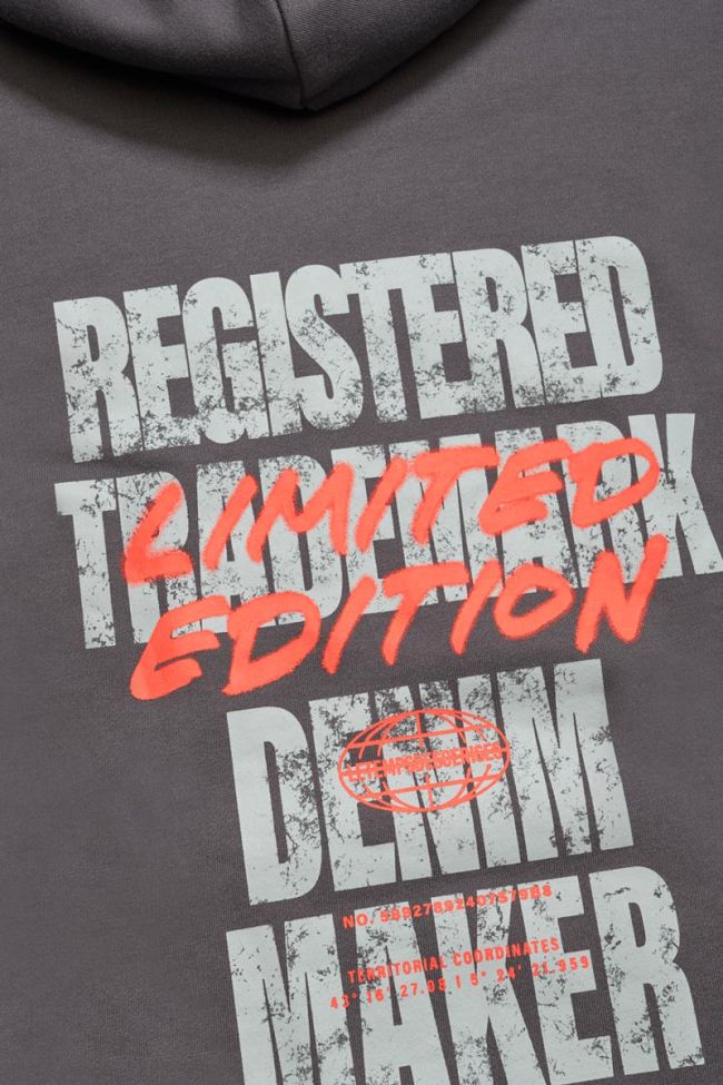 Kapuzen-sweatshirt Noebo in grau