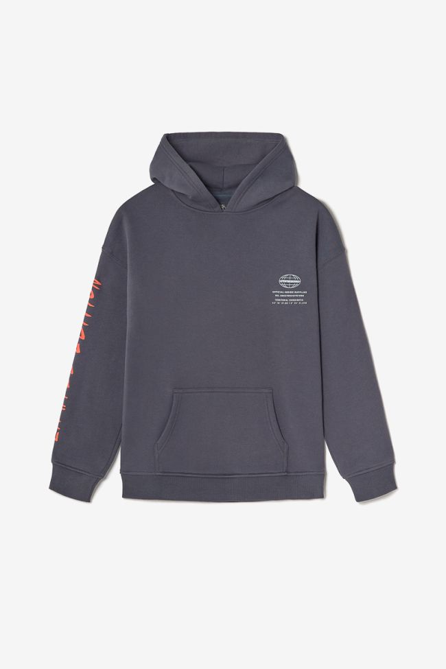Kapuzen-sweatshirt Noebo in grau