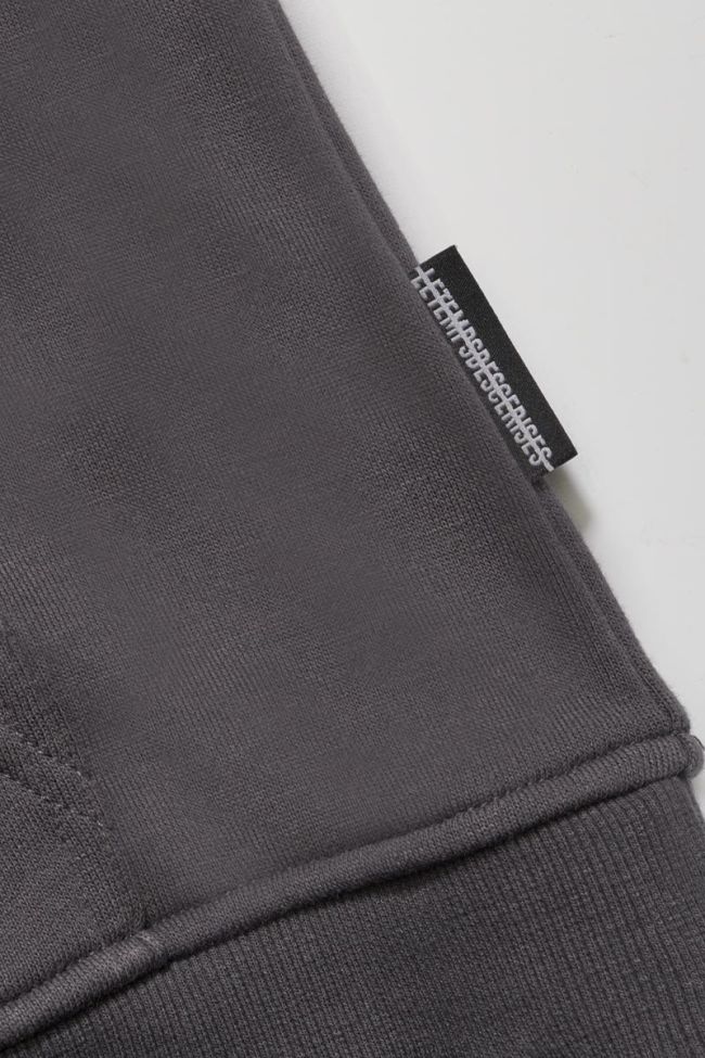 Kapuzen-sweatshirt Noebo in grau