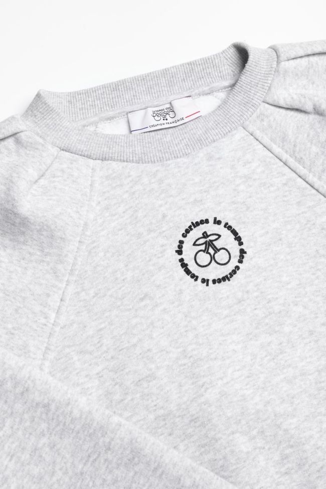 Kapuzen-sweatshirt Cobygi in grau