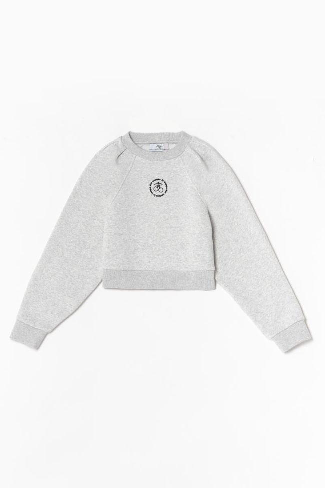 Kapuzen-sweatshirt Cobygi in grau