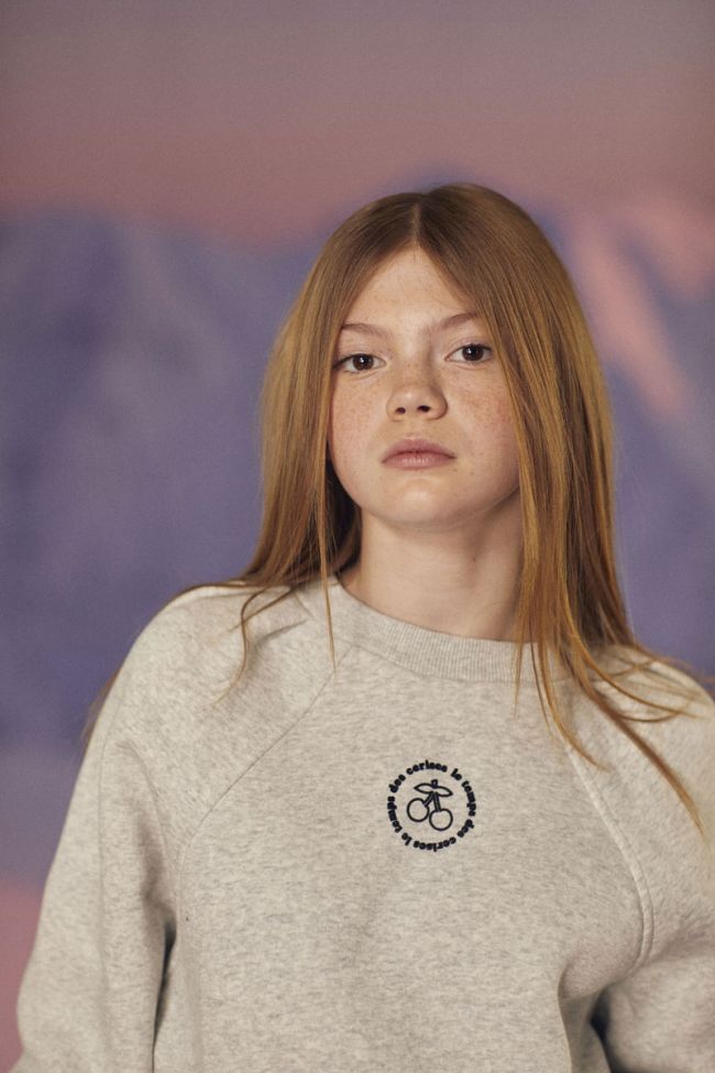 Kapuzen-sweatshirt Cobygi in grau