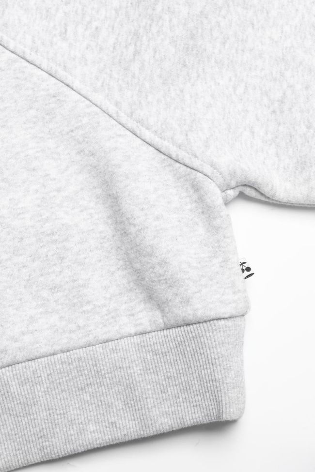 Kapuzen-sweatshirt Cobygi in grau
