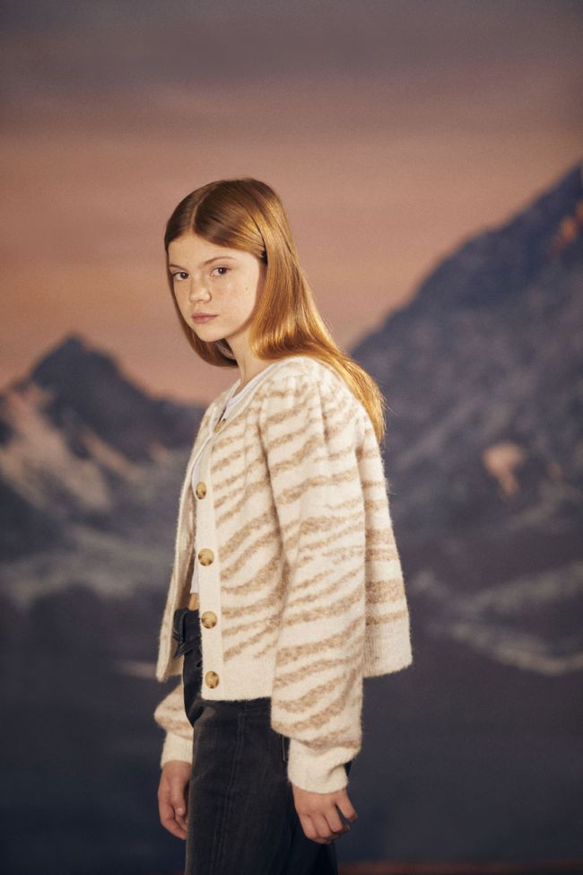 Pullover Karelgi in braun