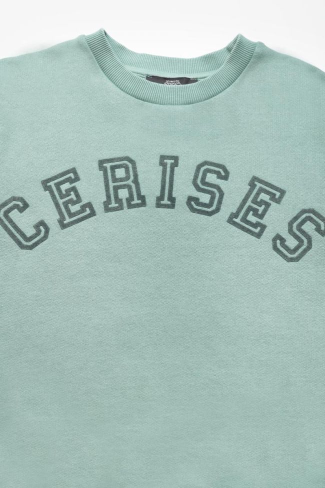 Sweatshirt Moagi in grün