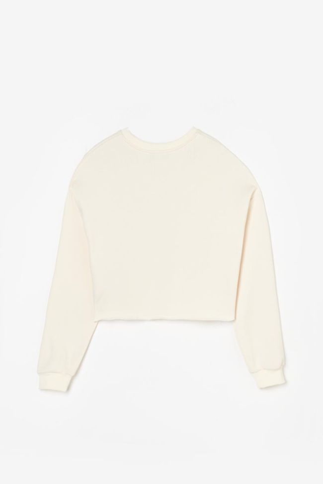 Sweatshirt Molliegi in braun