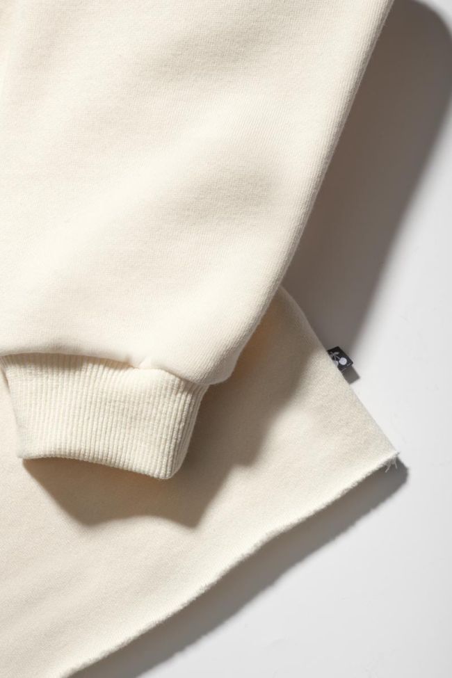 Sweatshirt Molliegi in braun