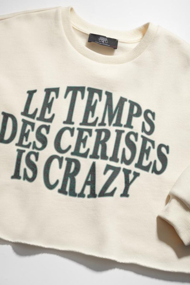 Sweatshirt Molliegi in braun