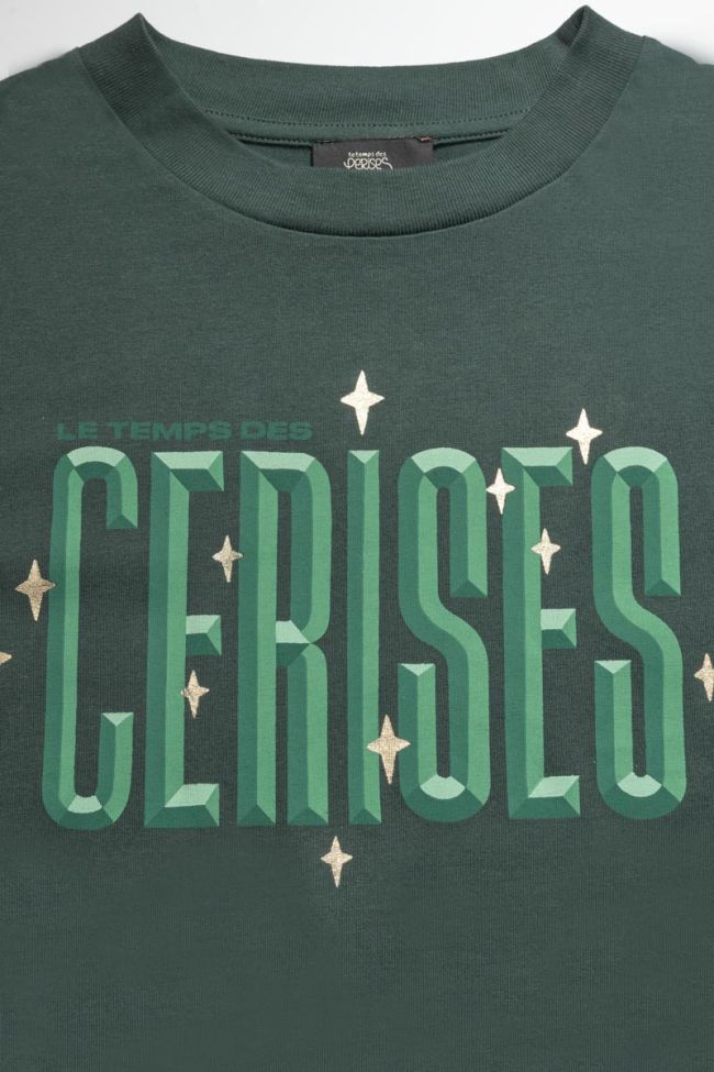 T-shirt Priahgi in grün