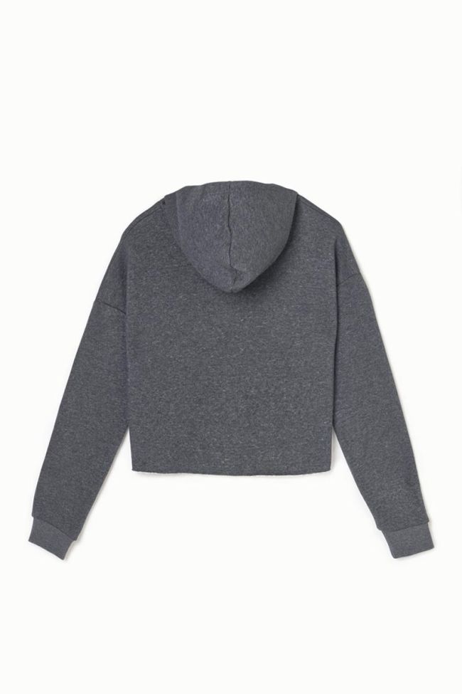 Kapuzen-sweatshirt Tiliagi in grau