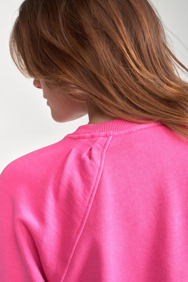Kapuzen-sweatshirt Tyragi in rosa