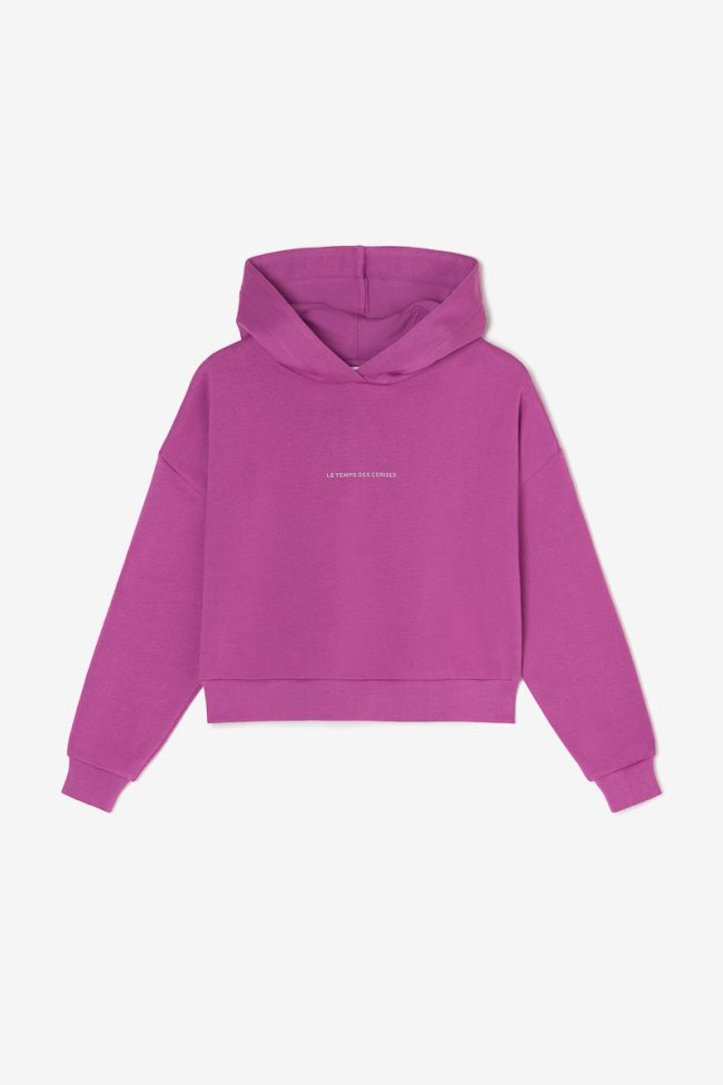 Sweatshirt Volvagi in violett