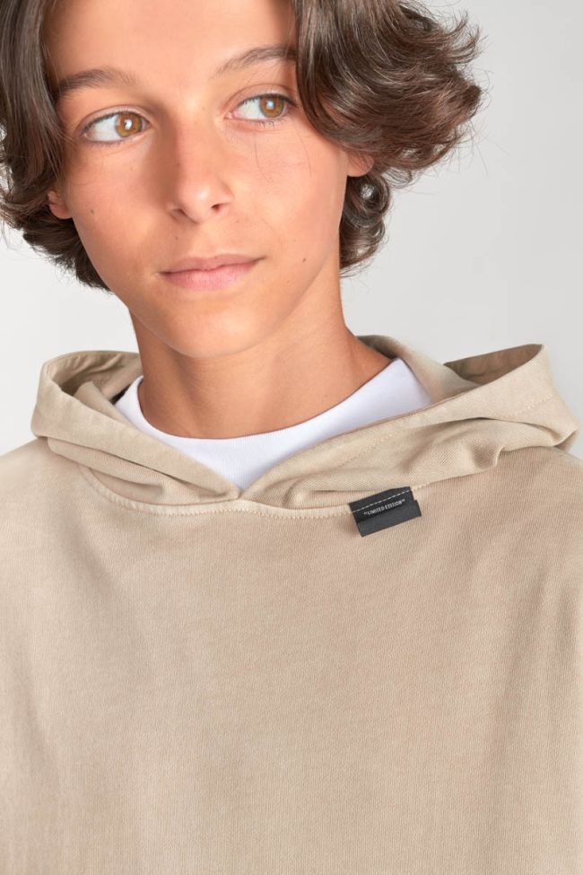 Kapuzen-sweatshirt Anibo in braun