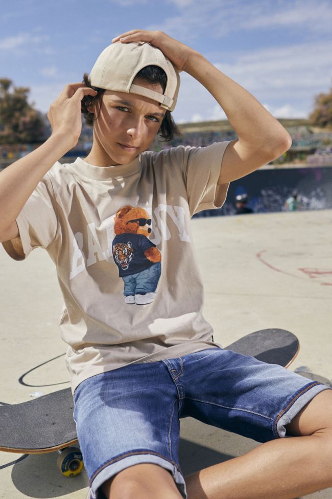 T-shirt Stenleyb in braun