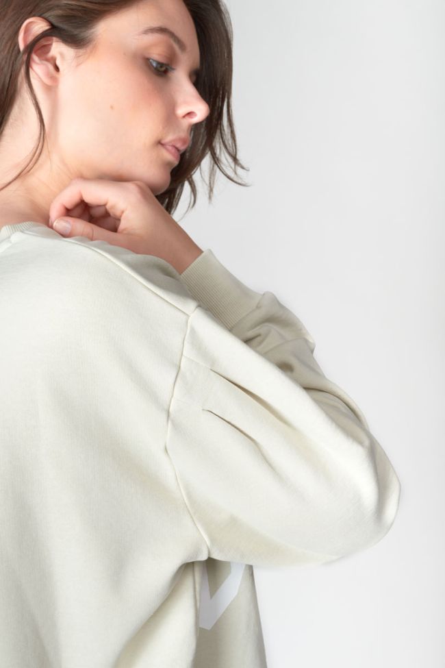 Sweatshirt Gypsoph in braun