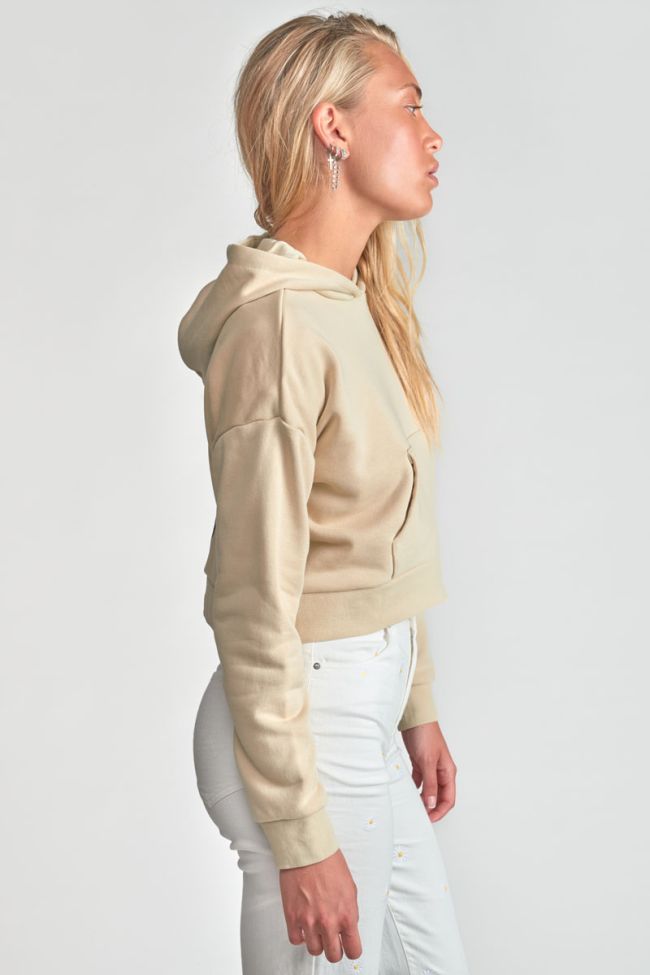 Sweatshirt Edanagi in grau