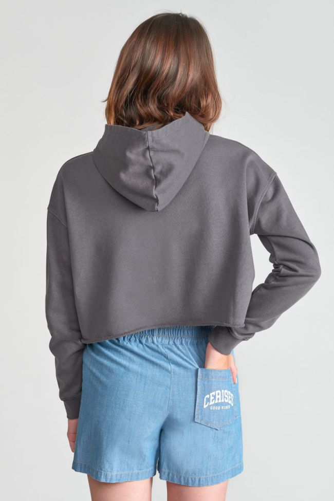 Kapuzen-sweatshirt Jainegi in grau