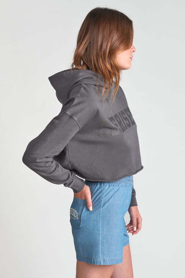Kapuzen-sweatshirt Jainegi in grau