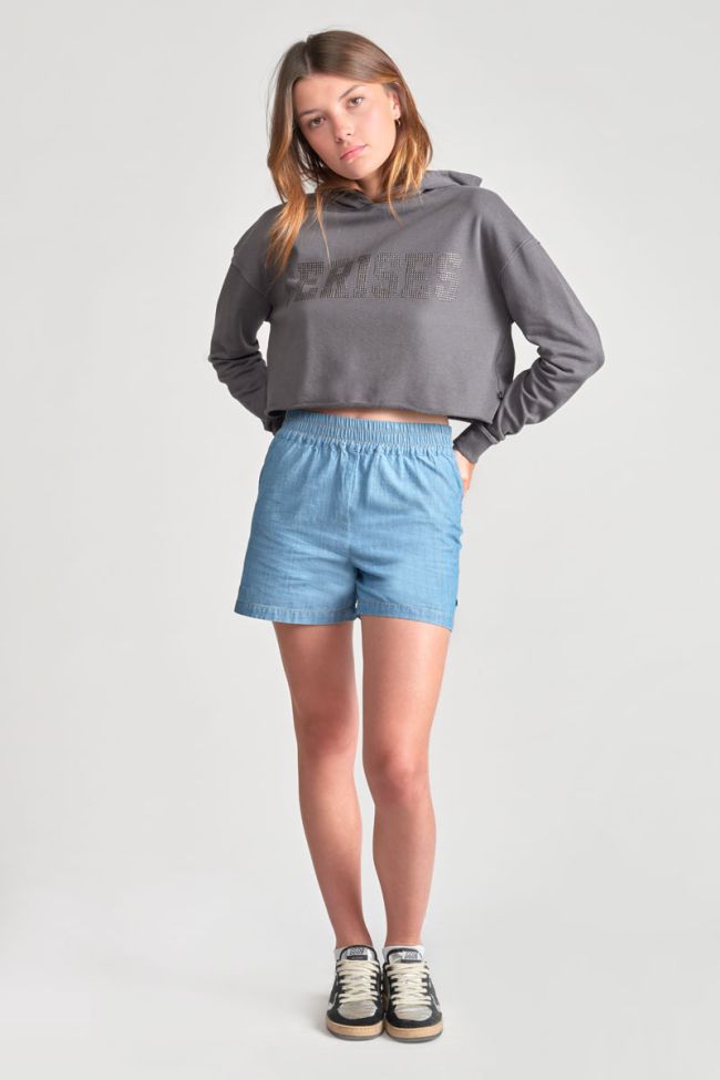 Kapuzen-sweatshirt Jainegi in grau