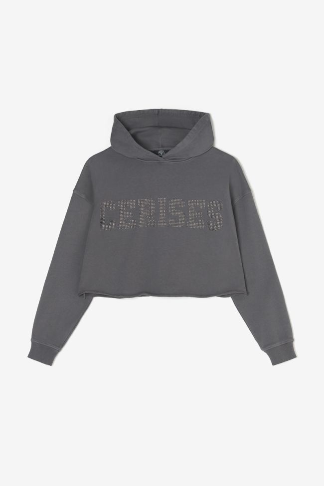 Kapuzen-sweatshirt Jainegi in grau