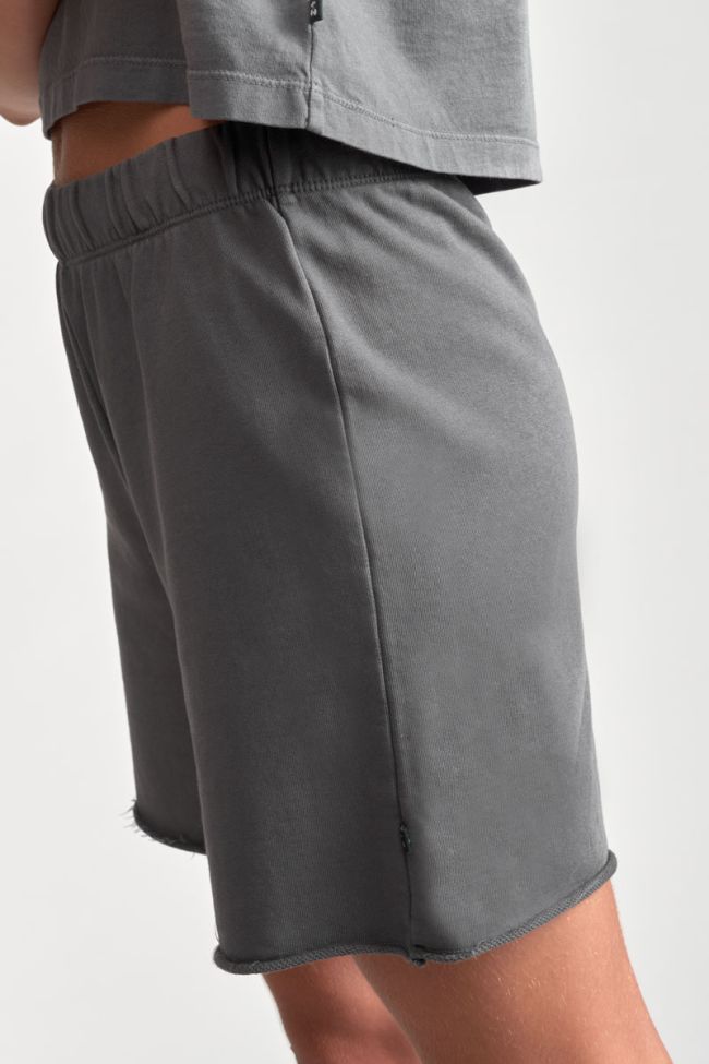 Shorts Passigi in grau