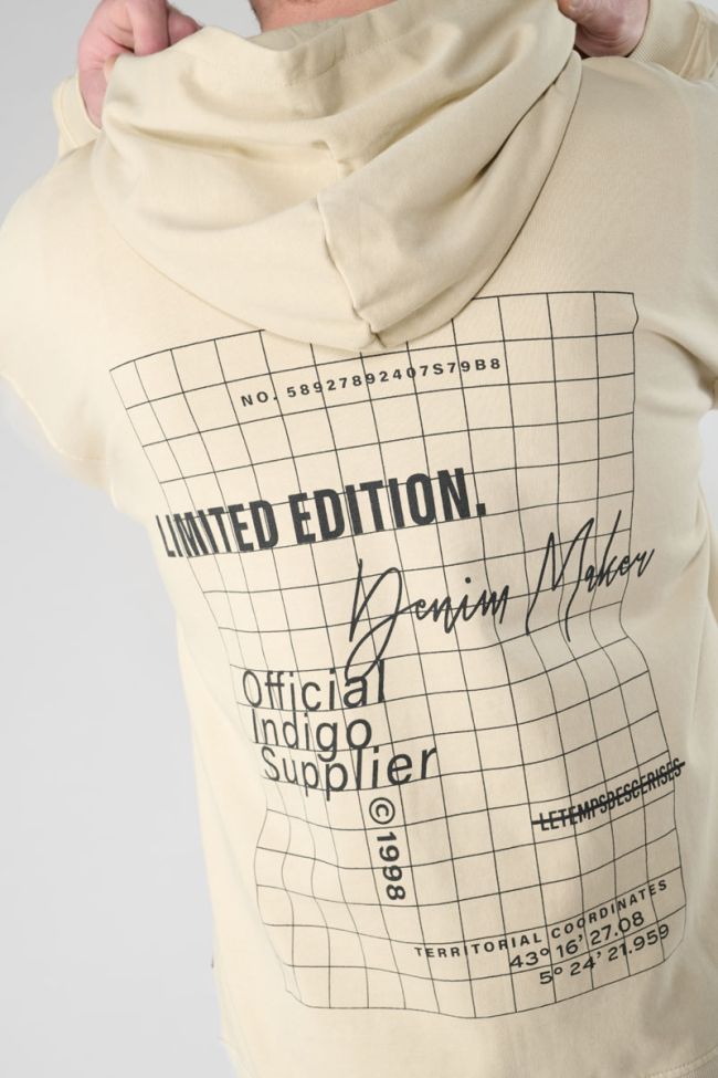 Kapuzen-sweatshirt Anibo in braun