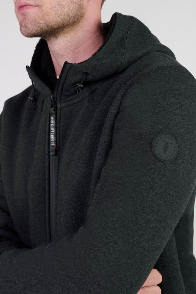 Kapuzen-sweatshirt Disal in grau