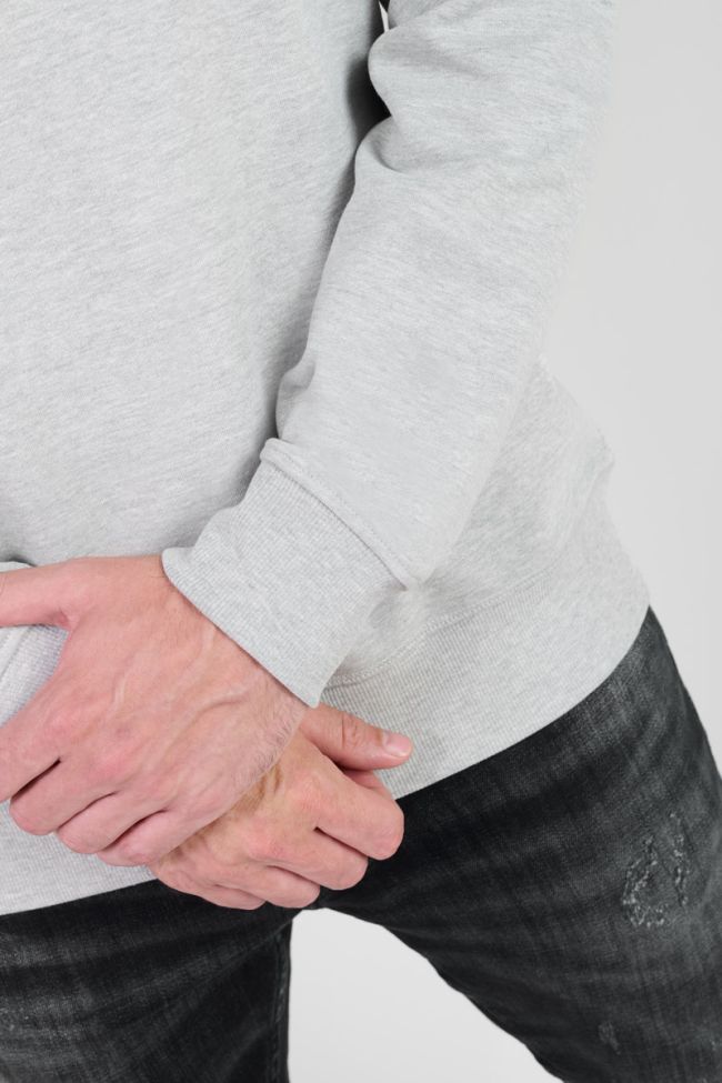 Sweatshirt Etol in grau