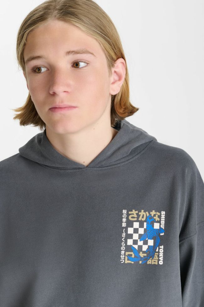 Kapuzen-sweatshirt Istrebo