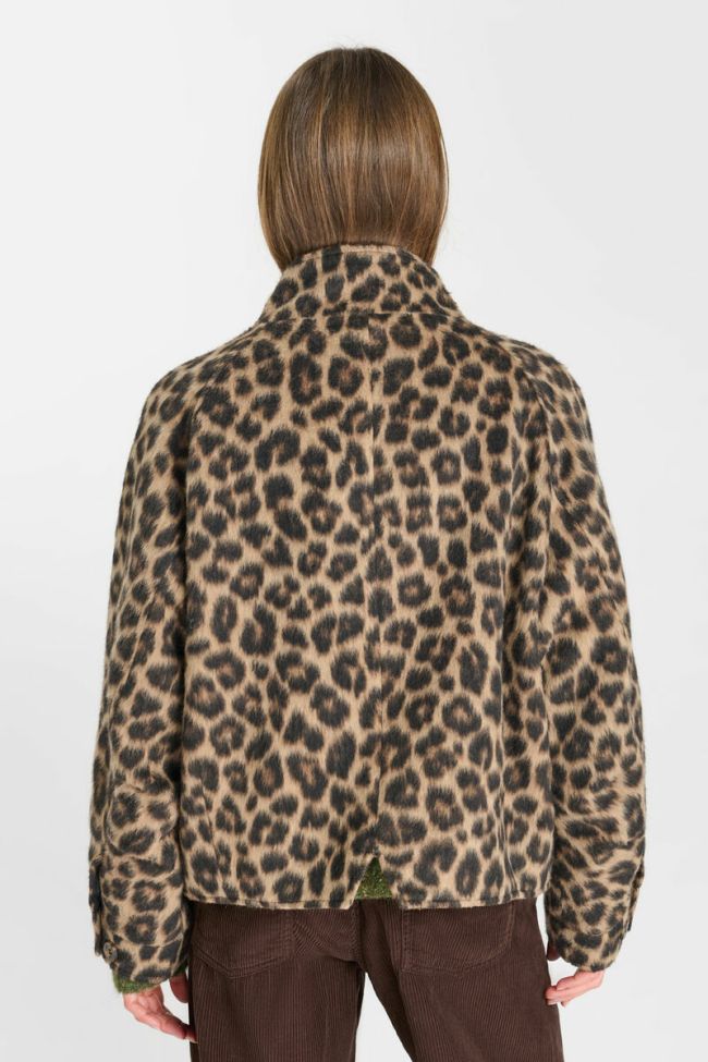 Jacke Zoleo