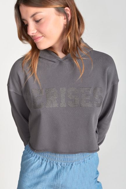 Kapuzen-sweatshirt Jainegi in grau
