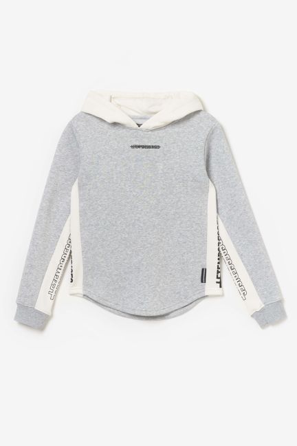 Kapuzen-sweatshirt Colorabo in grau