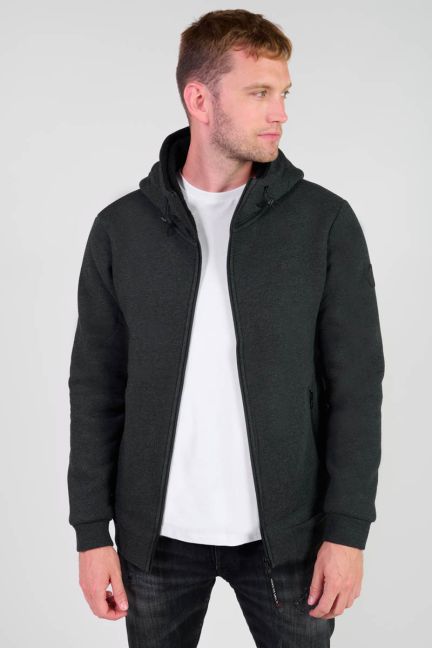 Kapuzen-sweatshirt Disal in grau
