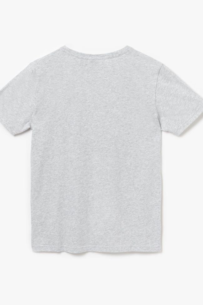 T-shirt Dustbo in grau