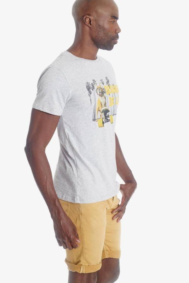T-shirt Wakulla in grau