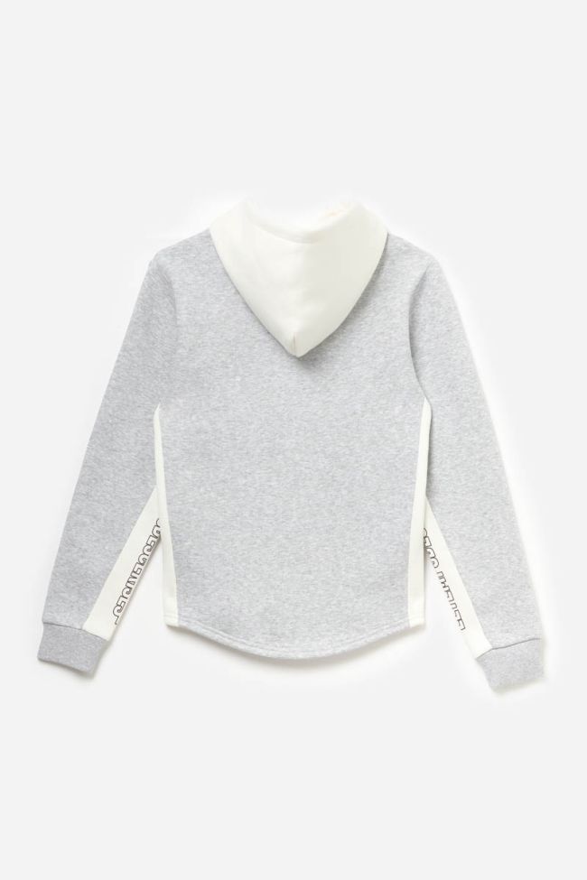 Kapuzen-sweatshirt Colorabo in grau