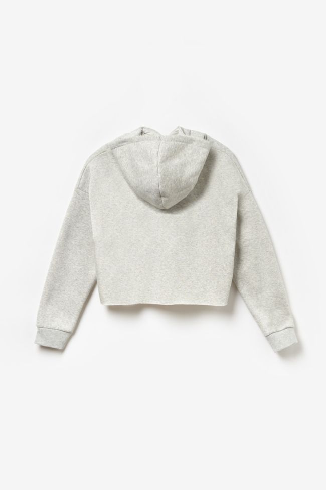 Kapuzen-sweatshirt Bendgi in grau