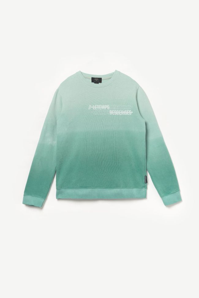 Sweatshirt Venicebo in grün