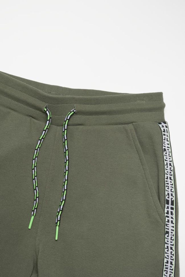 Shorts Ashbo in grün