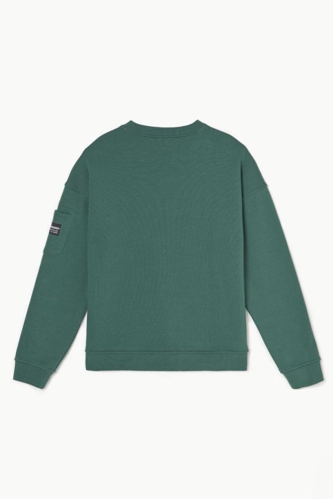 Sweatshirt Leonbo in grün