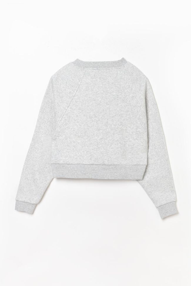 Kapuzen-sweatshirt Cobygi in grau