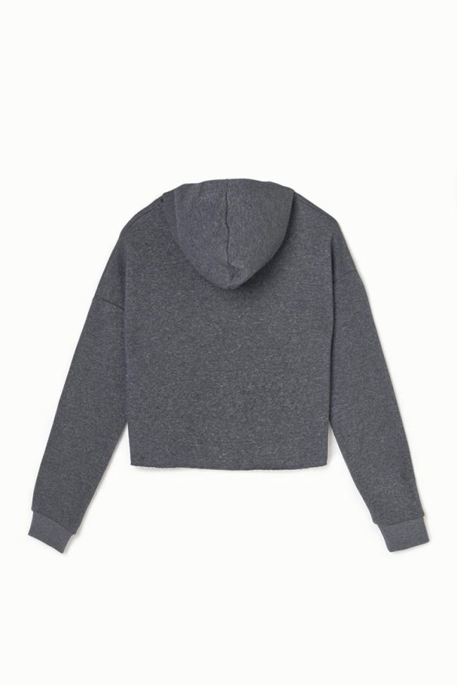 Kapuzen-sweatshirt Tiliagi in grau