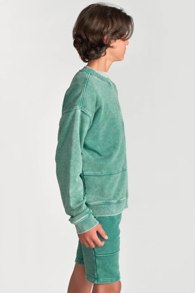 Sweatshirt Jonbo in grün