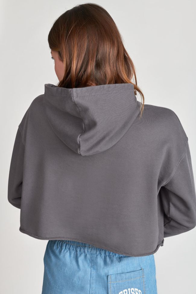 Kapuzen-sweatshirt Jainegi in grau